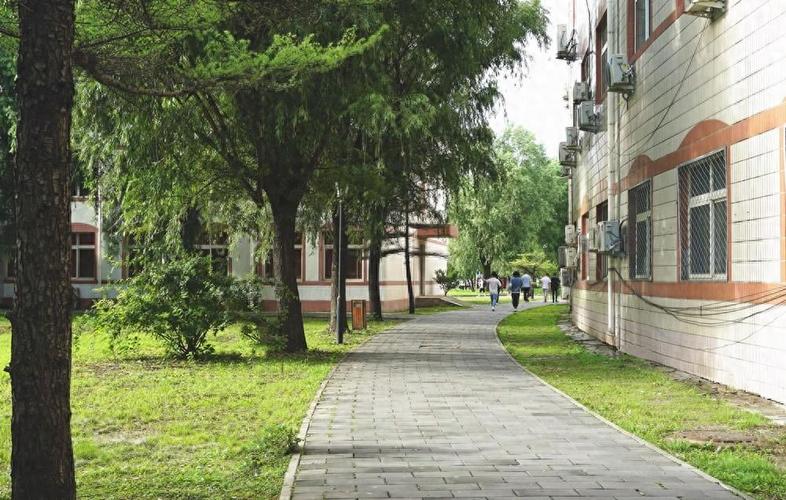 零基础也能高薪入行:一文看懂云计算教育怎么选
